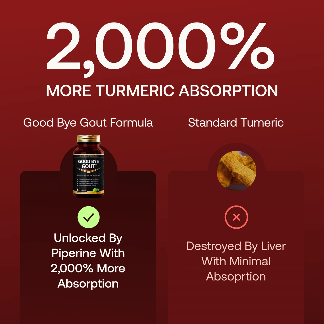 Advanced Uric Acid Support Formula