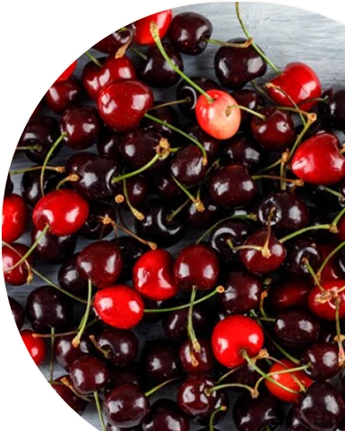 Tart Cherry Extract