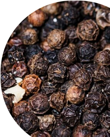 Black Pepper Extract
