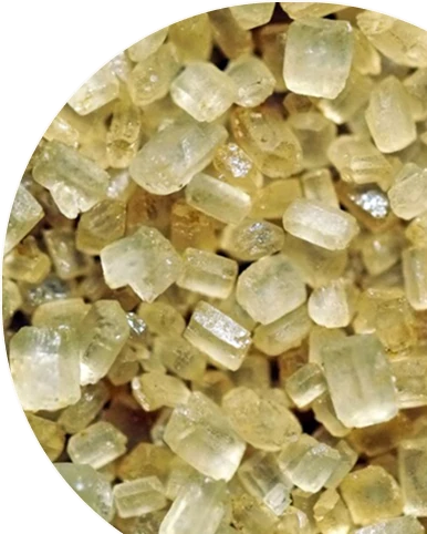 Boswellia Serrata