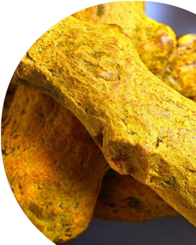 Turmeric Extract
